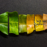 90 minuta koje stvaraju priču: Struktura razgovora za oproštajni govor